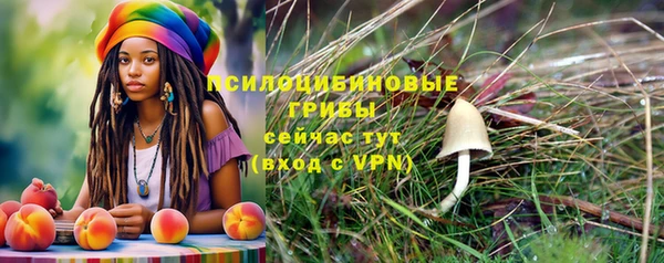 MESCALINE Кинешма