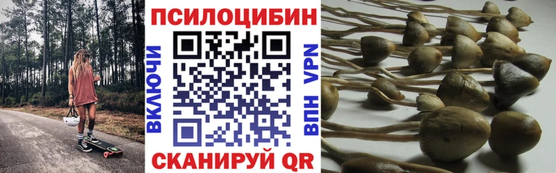 Псилоцибиновые грибы Cubensis  Купить где  Билибино 