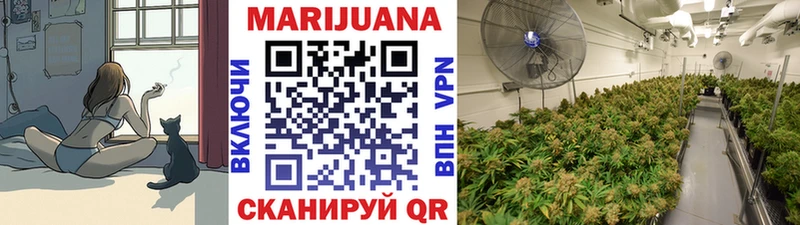 Купить закладки  Билибино  Бошки марихуана Bruce Banner 